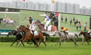Tìm Hiểu Cá Cược Đua Ngựa HitClub Với Tỷ Lệ Thắng Và Trải Nghiệm Hấp Dẫn
