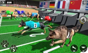 Hướng Dẫn Cách Chơi Game Nhanh Đua Chó Tại HitClub Chi Tiết Từng Bước